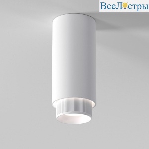 Потолочный светильник Elektrostandard Nubis 25012/01 GU10 белый a064789
