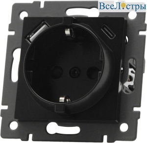 Механизм розетки с USB зарядкой Arlight SCT-MUAC-PL-BK-V (250V, 16A) 049830