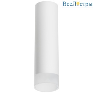 Накладной светильник Lightstar Rullo R649681 (216496+202481)