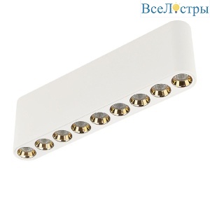 Накладной светильник Odeon Light Small 7091/21CL