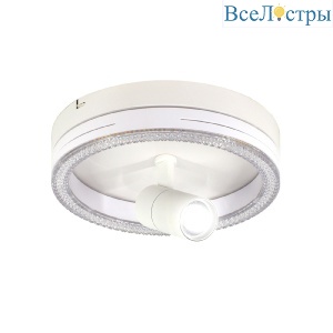 Потолочный светильник Escada 20044SMA/02LED WH