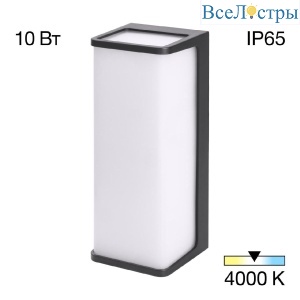 Уличный настенный светильник Citilux Domus CLU0802