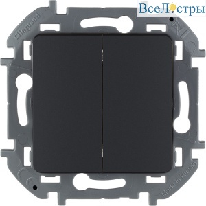 Выключатель двухклавишный Legrand Inspiria 673623