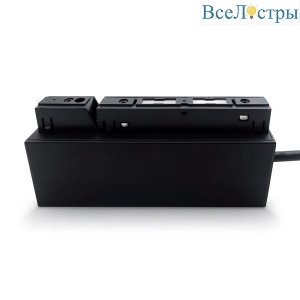Блок питания встраиваемый Maytoni Technical Gravity TRX010DR2-200B