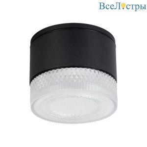 Уличный потолочный светильник Arte Lamp Piautos A1926PF-1BK