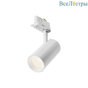 Трековый трехфазный светильник Maytoni Focus Led TR197-3-12WCCT-M-W