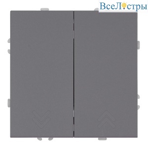 Выключатель двухклавишный Stekker Эмили RSW10-5116-10 платиново-серый soft touch 50823