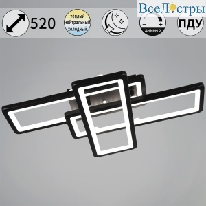 Потолочный светильник Reluce 03629-0.3-03B BK