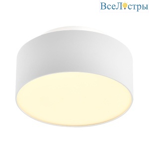 Накладной светильник ST Luce ST166.542.17
