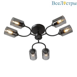 Потолочная люстра Vitaluce V2823-1/6PL