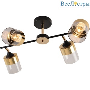 Люстра на штанге Reluce 01555-3.3-04B BK+FGD
