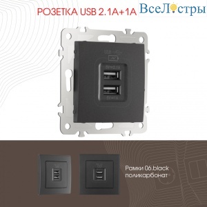 Розетка USB 2.1А+1А Arte Milano 206.46-1.black