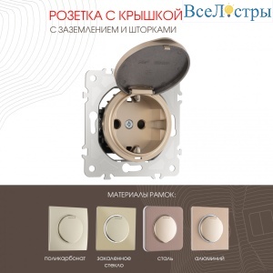 Розетка с заземлением, шторками и защитной крышкой Arte Milano 202.41-1.shampan