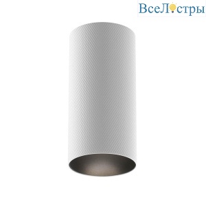 Потолочный светильник Maytoni Technical Artisan C080CL-01-GU10-W