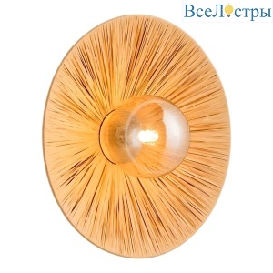 Настенный светильник Lussole Sunflower LSP-5009
