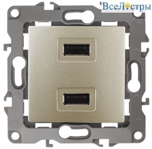 Розетка USB Эра 12-4110-04 Б0027494