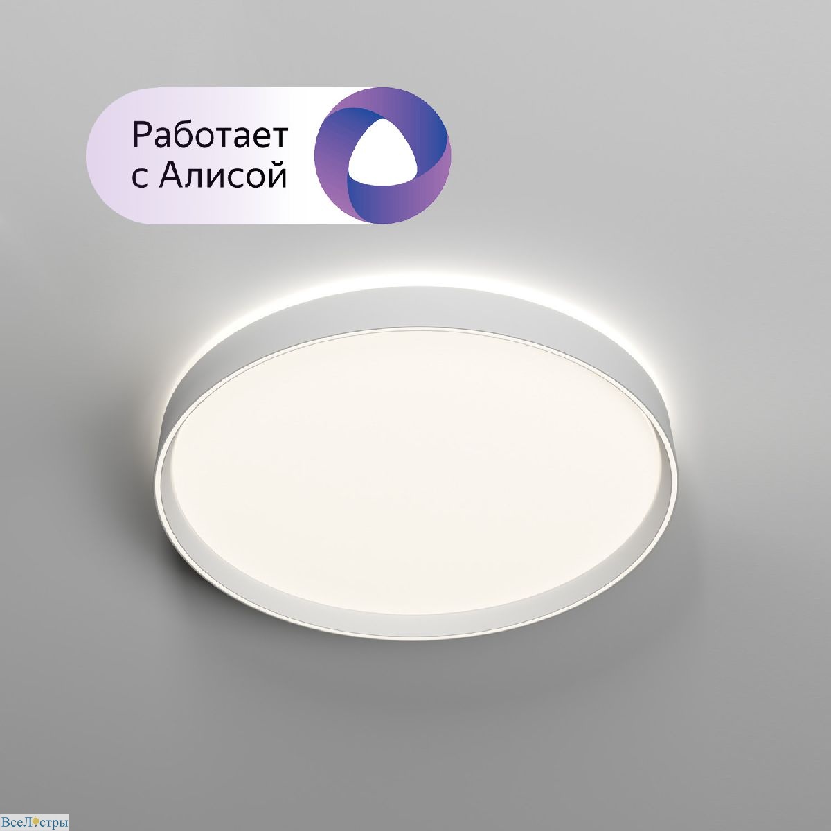 потолочный светильник denkirs plato dk6511-wh/1