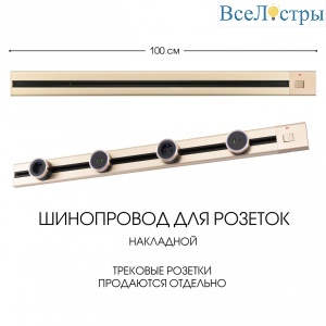 Накладной шинопровод с выключателем Arte Milano Am-track-sockets 385201TOB/100 Gold