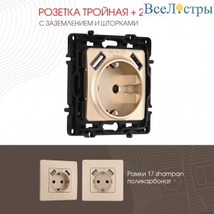 Розетка с заземлением, шторками + 2 USB Arte Milano 217.47-1.shampan