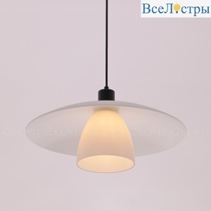 Подвесной светильник Cloyd Erlebnis 11409