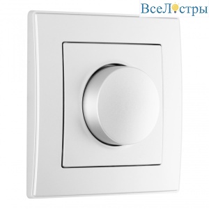 Диммер с рамкой Arte Milano SET06-1-48-1 silver