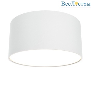 Потолочный светодиодный светильник Maytoni Technical Zon C032CL-12W3K-RD-W