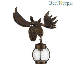 Уличный настенный светильник Favourite Hunt 1848-1W