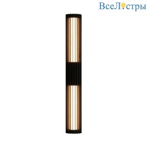 Уличный настенный светильник  Favourite Asador 4827-2W