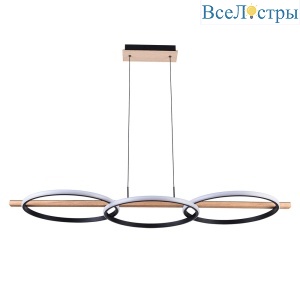 Подвесная люстра Arte Lamp Fluido A3913SP-24BK