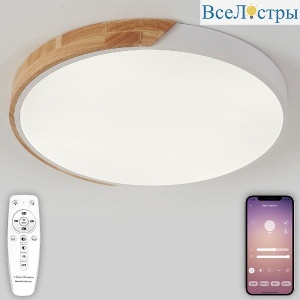 Потолочный светильник Natali Kovaltseva Scandinavian LED LAMPS 81182