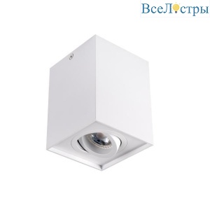 Накладной точечный светильник Kanlux GORD DLP 50-W 25470