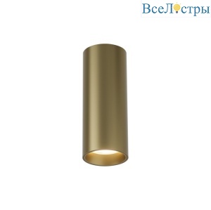 Накладной светильник Denkirs Shine tube DK2615-SB