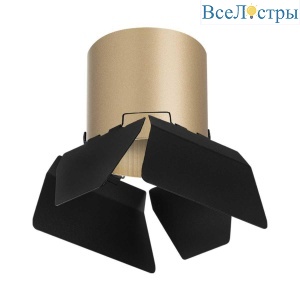 Потолочный светильник Lightstar Rullo (213490+202487) R3490487