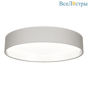 Потолочный светильник Evoluce Brescia SLE300512-01