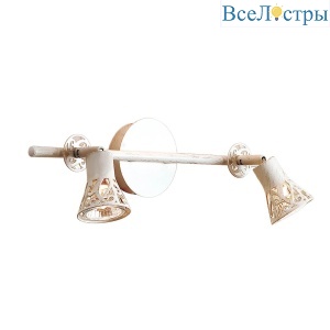 Спот Citilux Винон CL519525