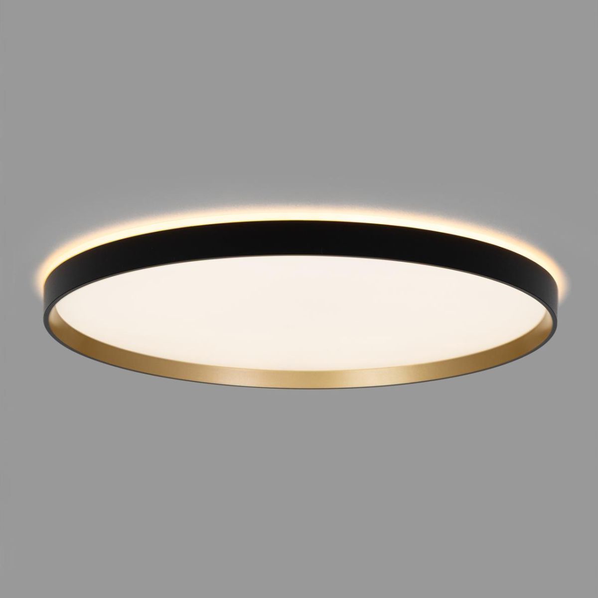 потолочный светильник citilux etalon cl750501r