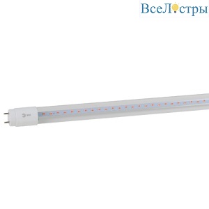 Фитолампа для растений Эра FITO-18W-RB-Т8-G13-NL Б0042990