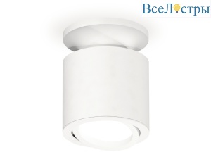 Накладной поворотный светильник Ambrella Light Techno XS7401061 (N7925, C7401, N7001)