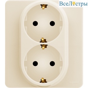 Розетка двойная с/з Legrand Inspiria 673751