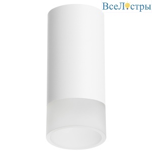 Накладной светильник Lightstar Rullo R43631 (214436+202431)