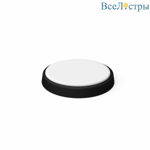 Настенно-потолочный светильник Gauss Basic 193411315B