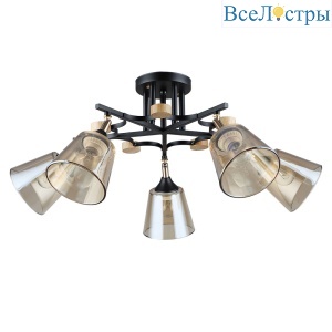 Потолочная люстра Arte Lamp Glassy A5078PL-5BK