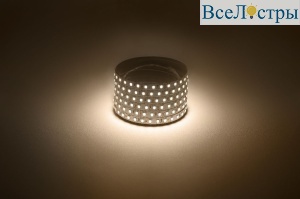 Светодиодная лента Эра 12В 2835 9,6Вт/м 3000K 5м IP20 LS2835-120LED-IP20-WW Б0035596