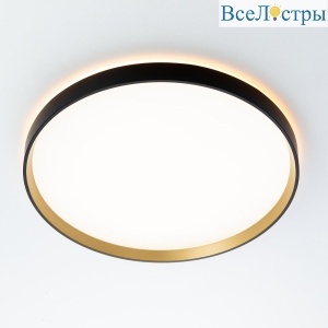 Потолочный светильник Citilux Etalon CL750401R