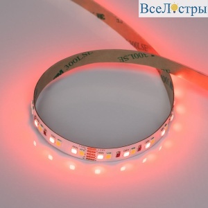 Светодиодная лента Arlight RT-A168-10mm 24V RGBW-Day (20 W/m, IP20, 5m) (высок.эфф.150 лм/Вт) 056878