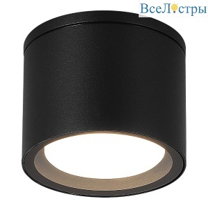 Уличный потолочный светильник ST Luce Tubo SL9006.402.01