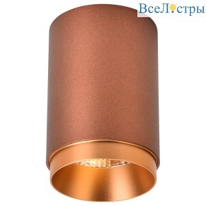 Точечный накладной светильник Wertmark Stecken WE801.01.607+WE803.RG.400