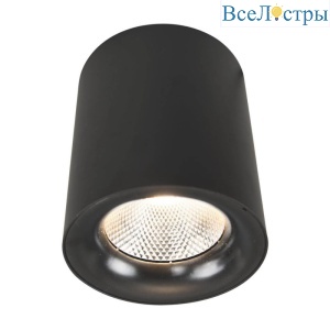 Потолочный светодиодный светильник Arte Lamp Facile A5118PL-1BK