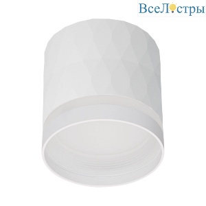 Накладной светильник Reluce 53002-9.5-001LD GX53 WT