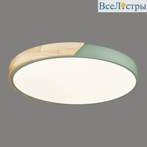 Потолочный светодиодный светильник Velante 445-447-01